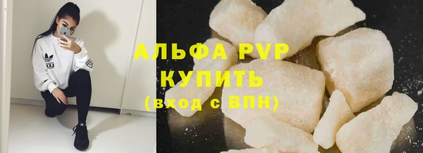 СК Строитель