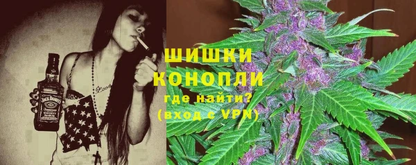 дмт Медногорск