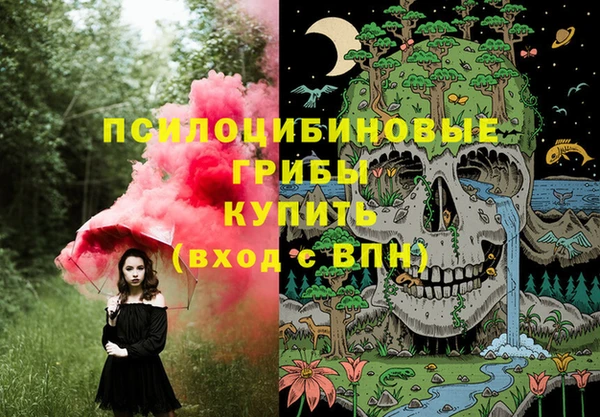 дмт Медногорск