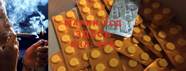 стаф Медвежьегорск