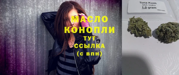 дмт Медногорск