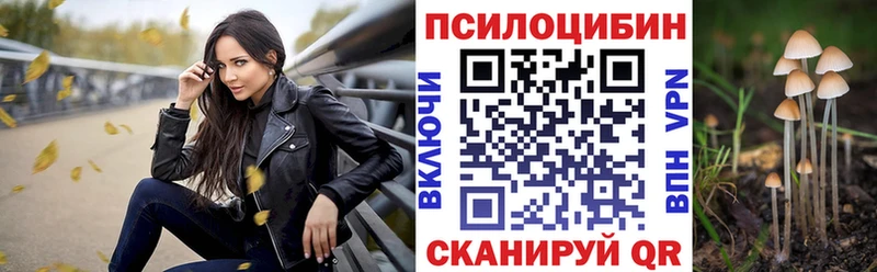 Псилоцибиновые грибы мицелий  Белая Холуница 